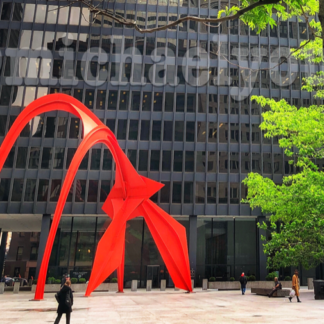 Federal Plaza, Chicago, Illinois