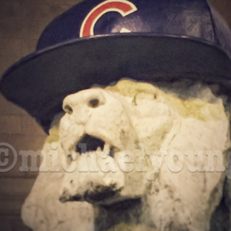 This Lion is a Cub Fan