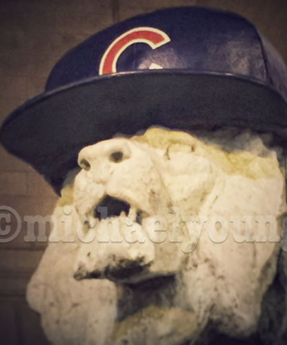 This Lion is a Cub Fan